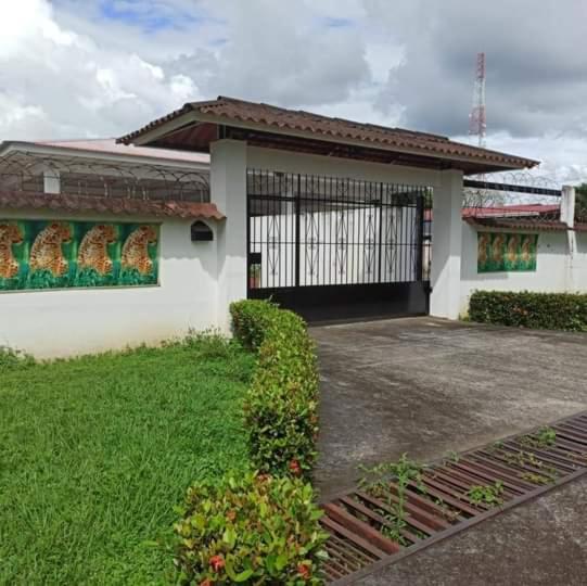 Hostal My House Your House David Exterior foto