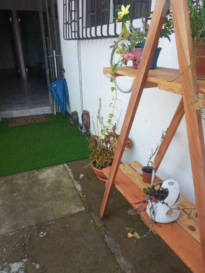 Hostal My House Your House David Exterior foto